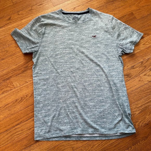 NWOT Hollister Men's t-shirt size large - Picture 1 of 3